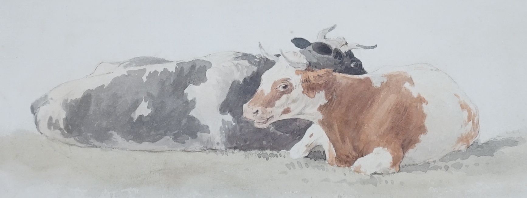 Edward Duncan (1803-1882), Two recumbent cows, watercolour, 10 x 23cm